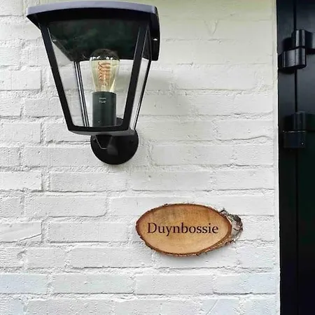 Duynbossie