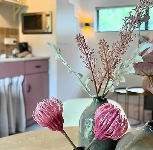 Duynbossie アパート *