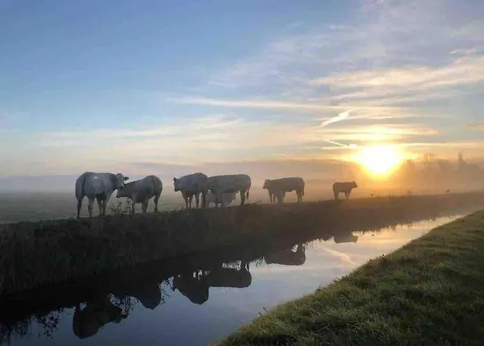 アパート Duynbossie *