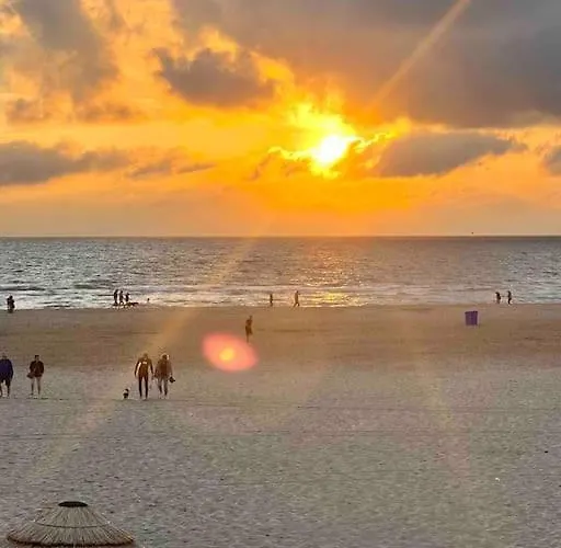 Duynbossie アパート