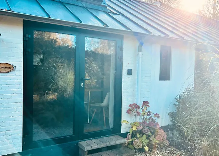 Duynbossie * スコールル